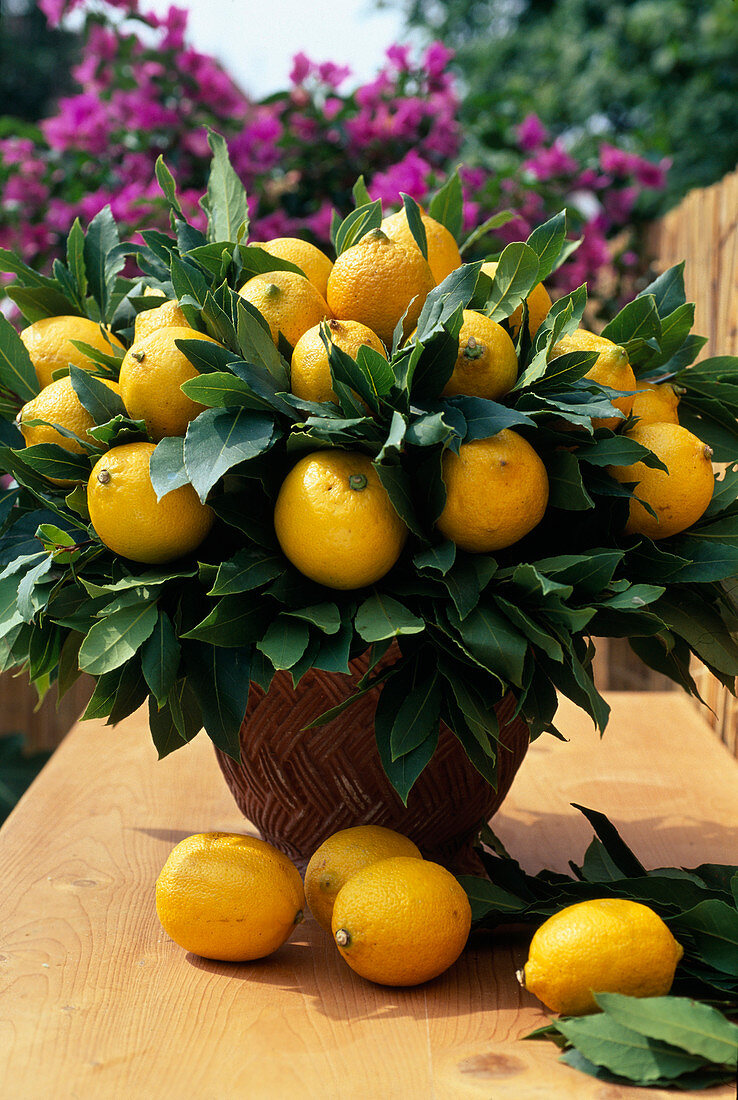 Lemon bouquet