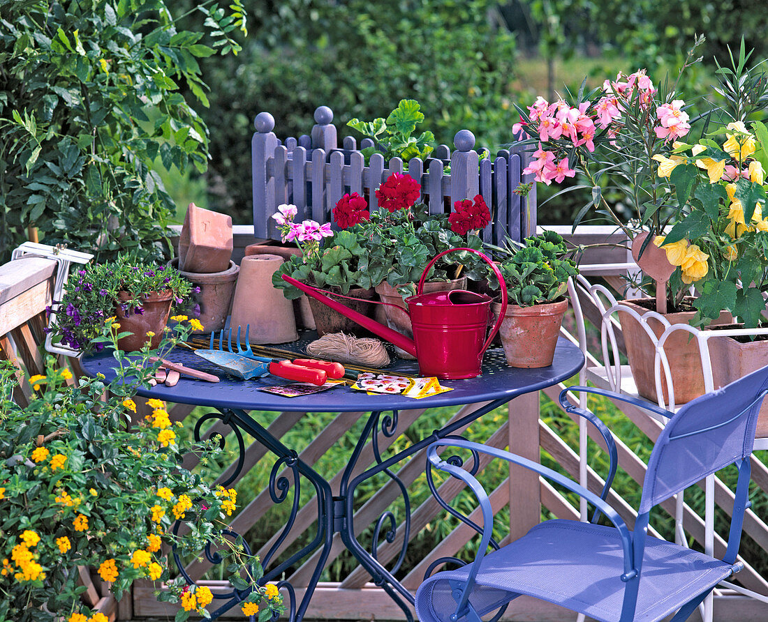 Potted balcony flowers and potted plants in spring