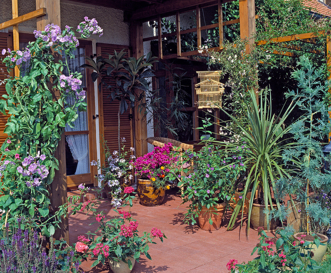 Terrace with potted plants