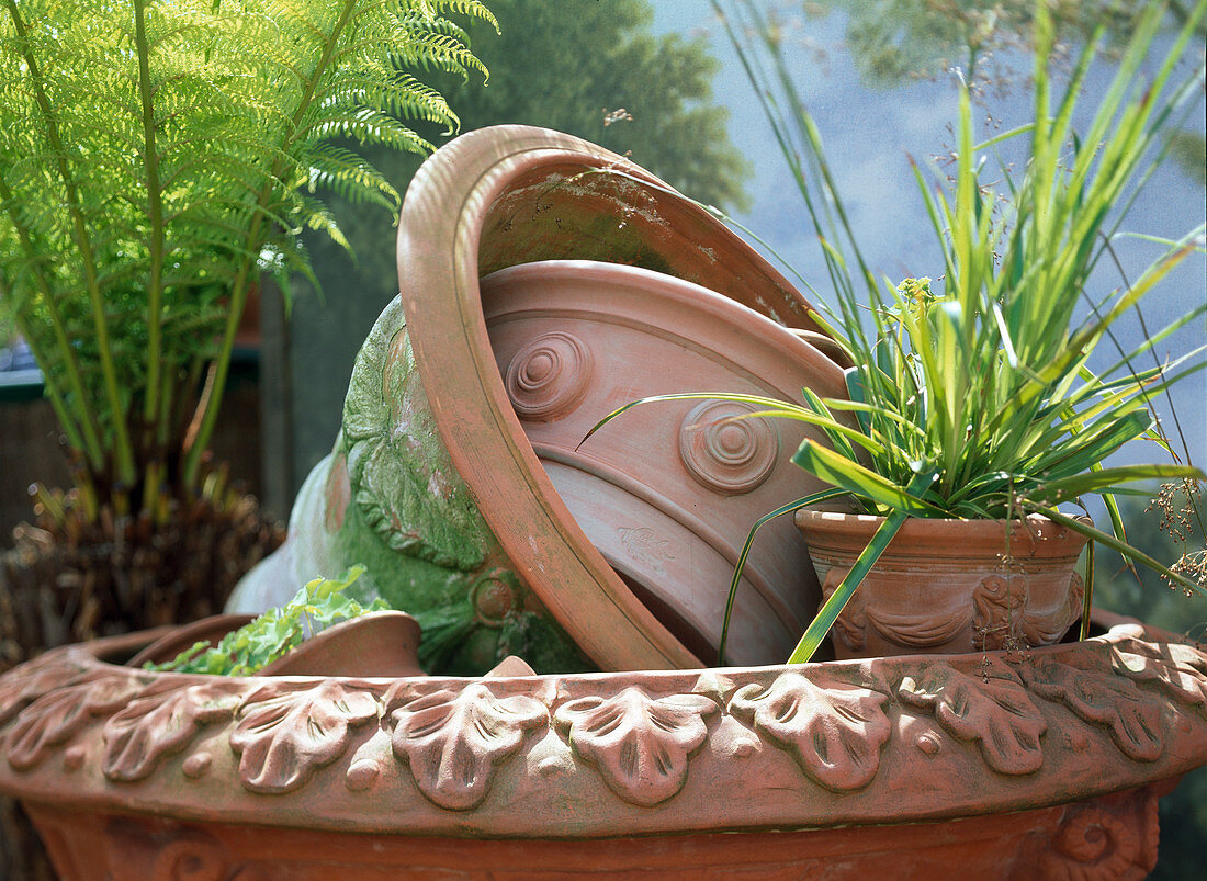 Terracotta pots