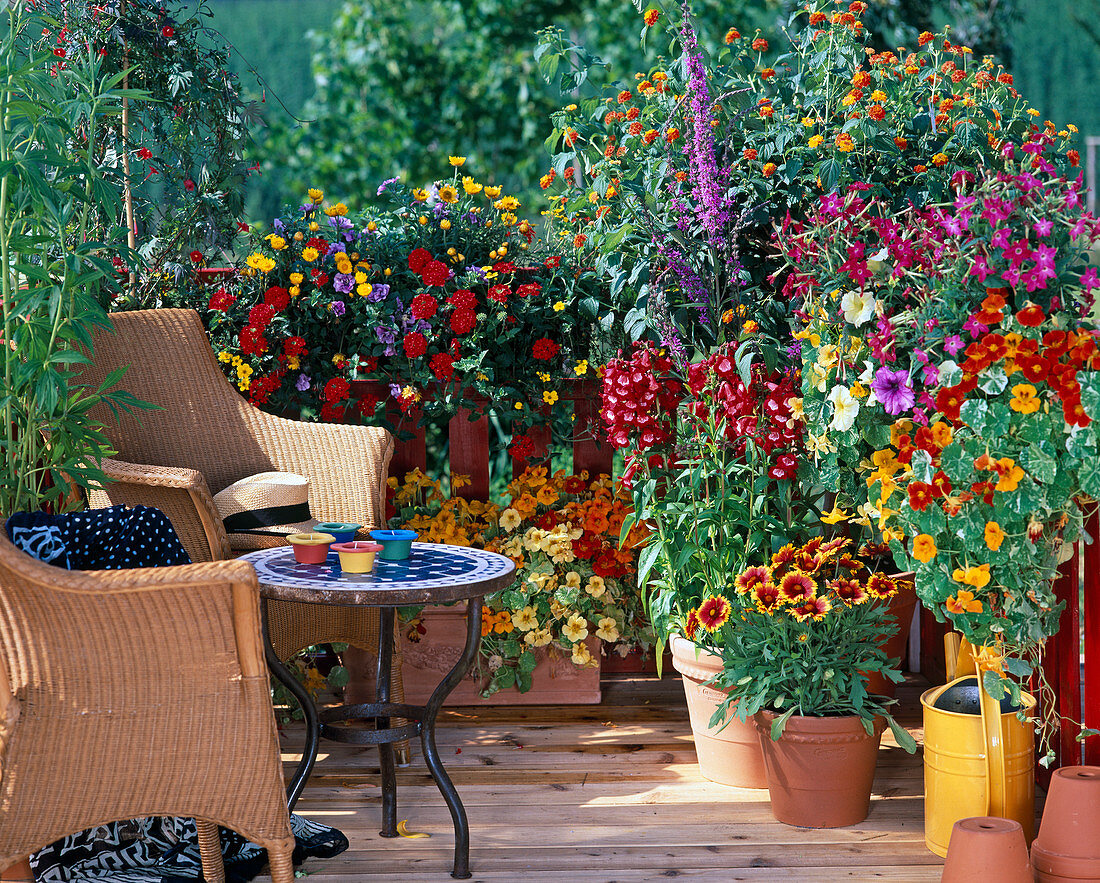 Orange-ROTER-Balkon