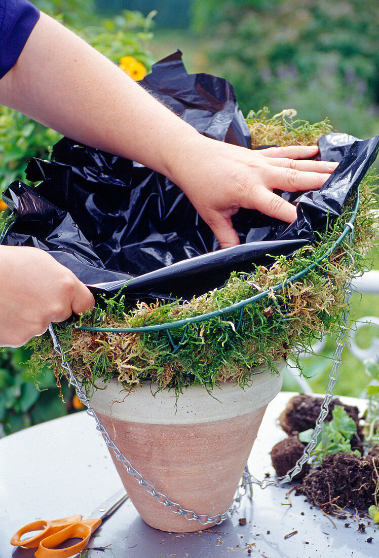 Hanging basket planting: Basket with foil