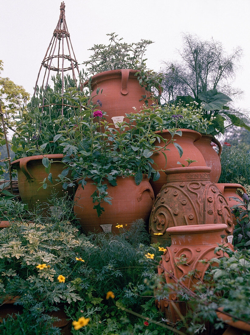 Englische Terracotta-Töpfe