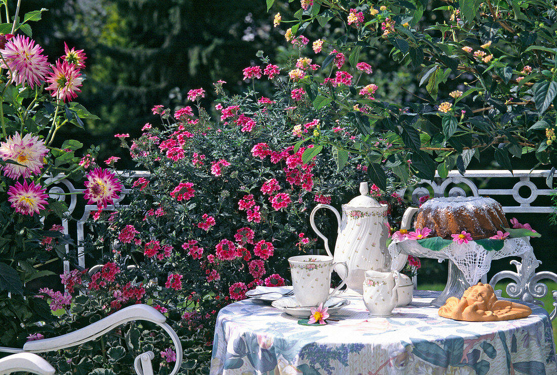 Table with cake