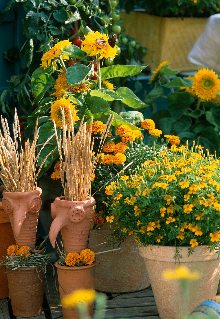 Clay heads with grasses, Tagetes (marigolds), Helianthus (sunflowers)