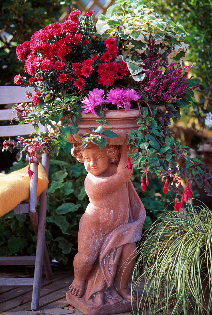 Putti with Dendranthema, Fuchsia, Colchicum, Calluna, Plectranthus