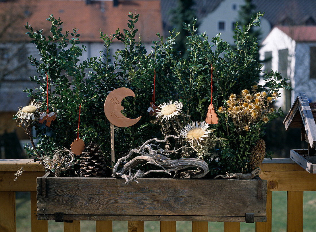 Balcony box design for christmas with book, dried flowers