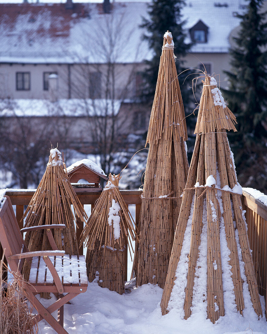 Grass balcony in winter