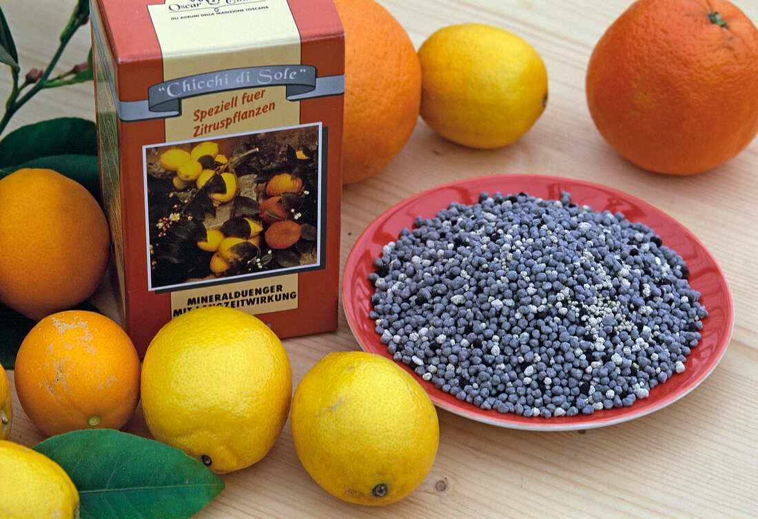 Special fertiliser for citrus plants