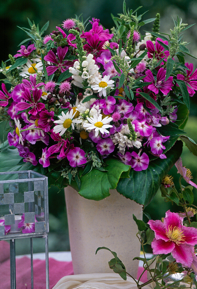 Strauß mit Phlox Paniculata