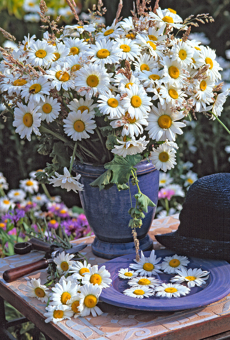 Bouquet of daisies from the garden