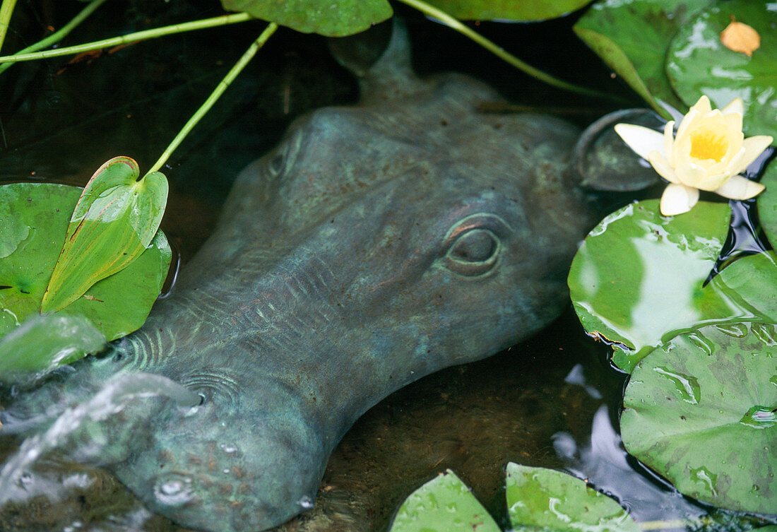 Hippo as gargoyle