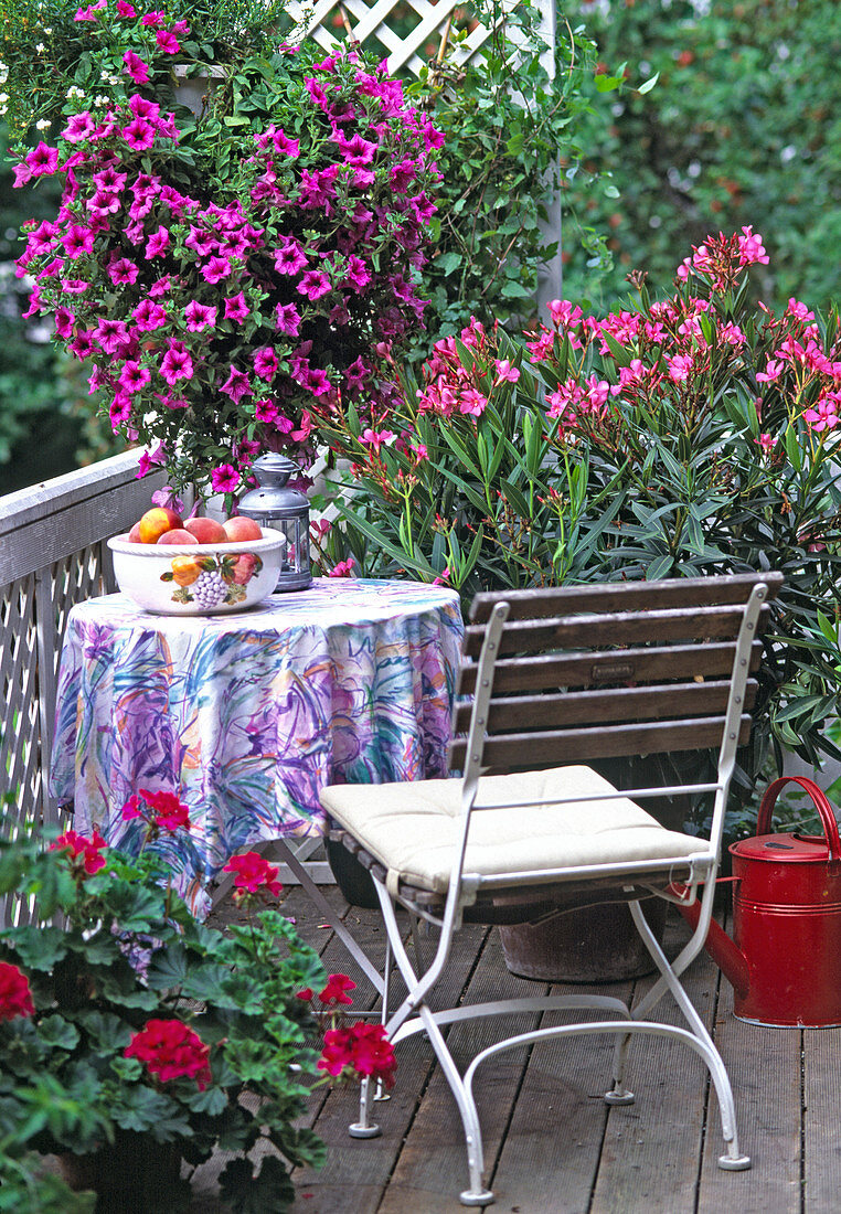 Balcony with Nerium Oleander, Petunia Surfinia