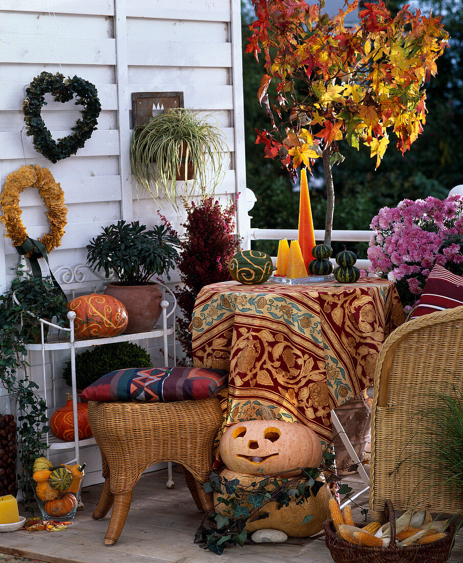 Autumn arrangement: Pumpkins, Liquidambar, Chrysanthemums, Erica, Hedera