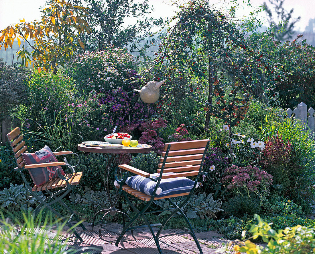 Seat by the autumn bed: Aster (autumn aster), Sedum (stonecrop)