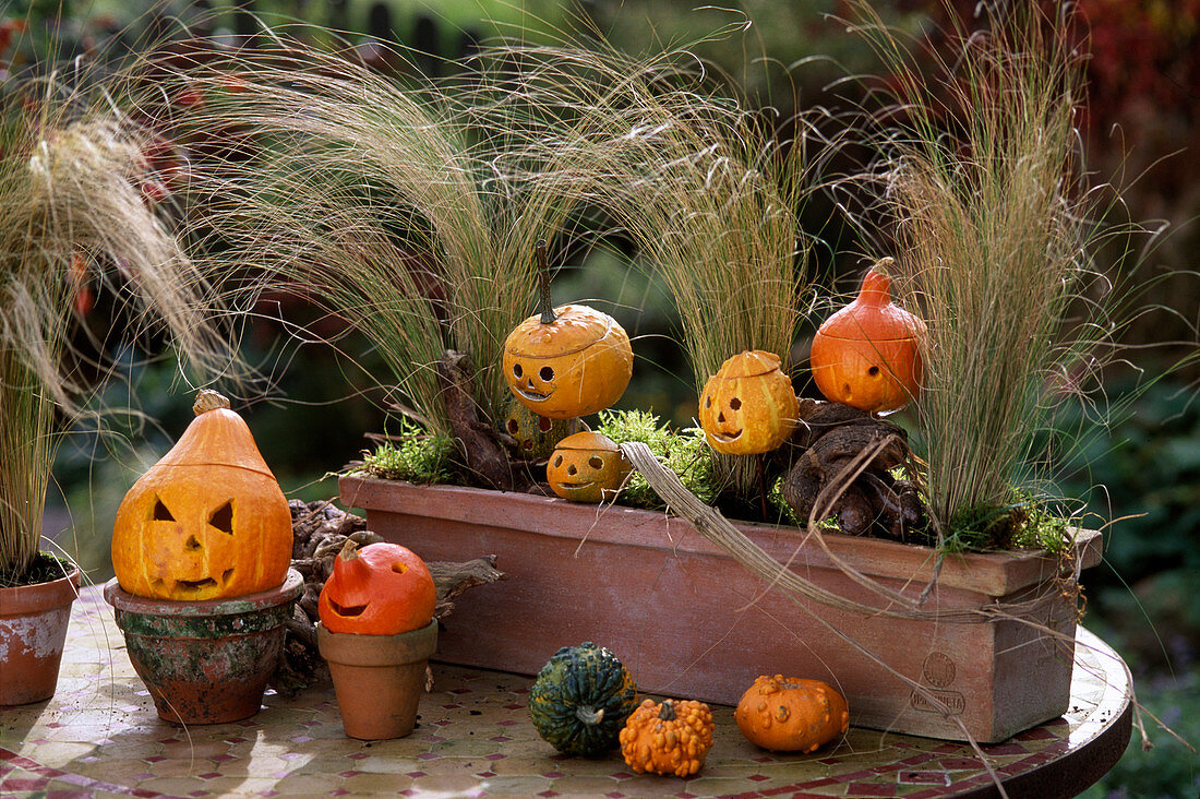 Terracottakasten für Halloween dekoriert