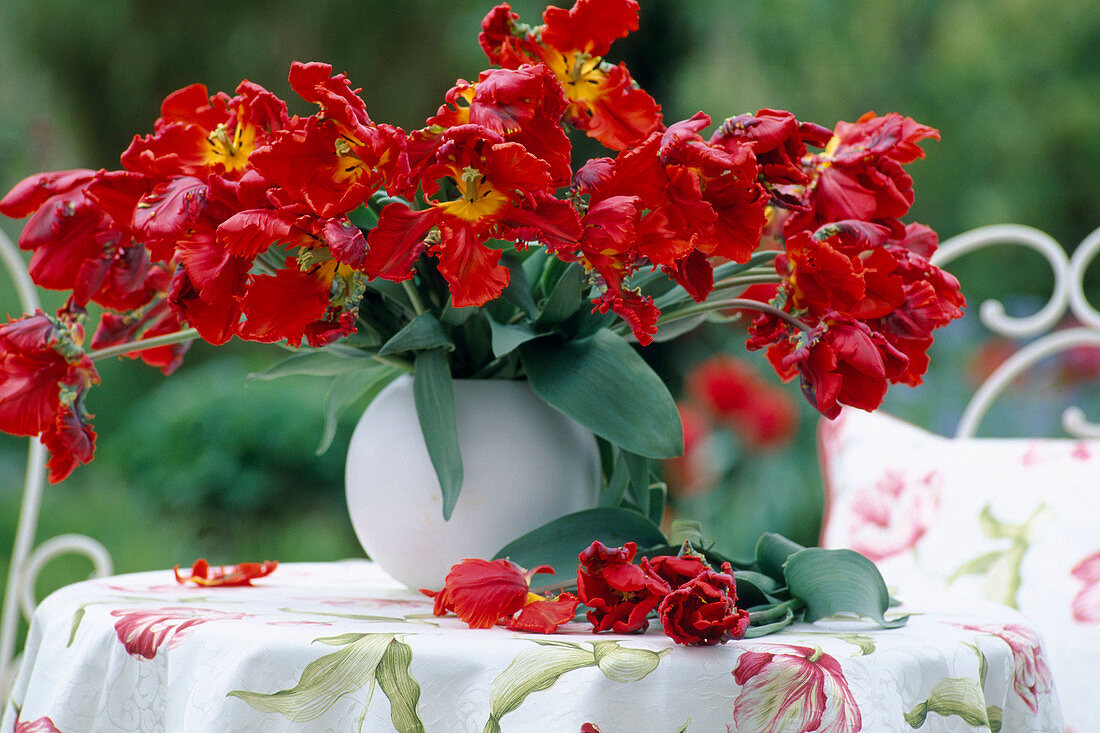 Bouquet of tulips Tulipa 'Rococo'