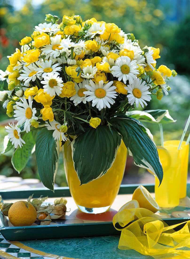 Argyranthemum frutescens (Margerite)