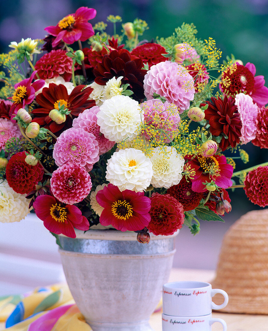 Bouquet of dahlias, dill