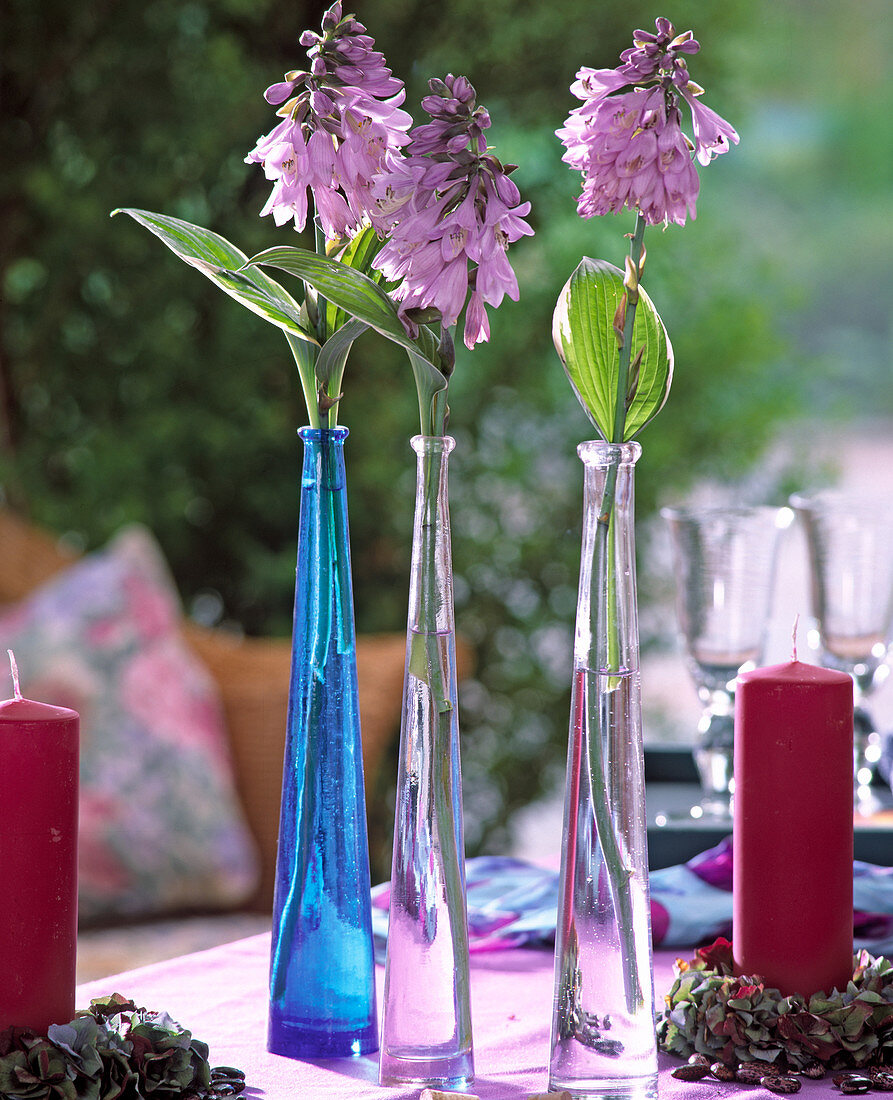 Hosta flowers in bottles