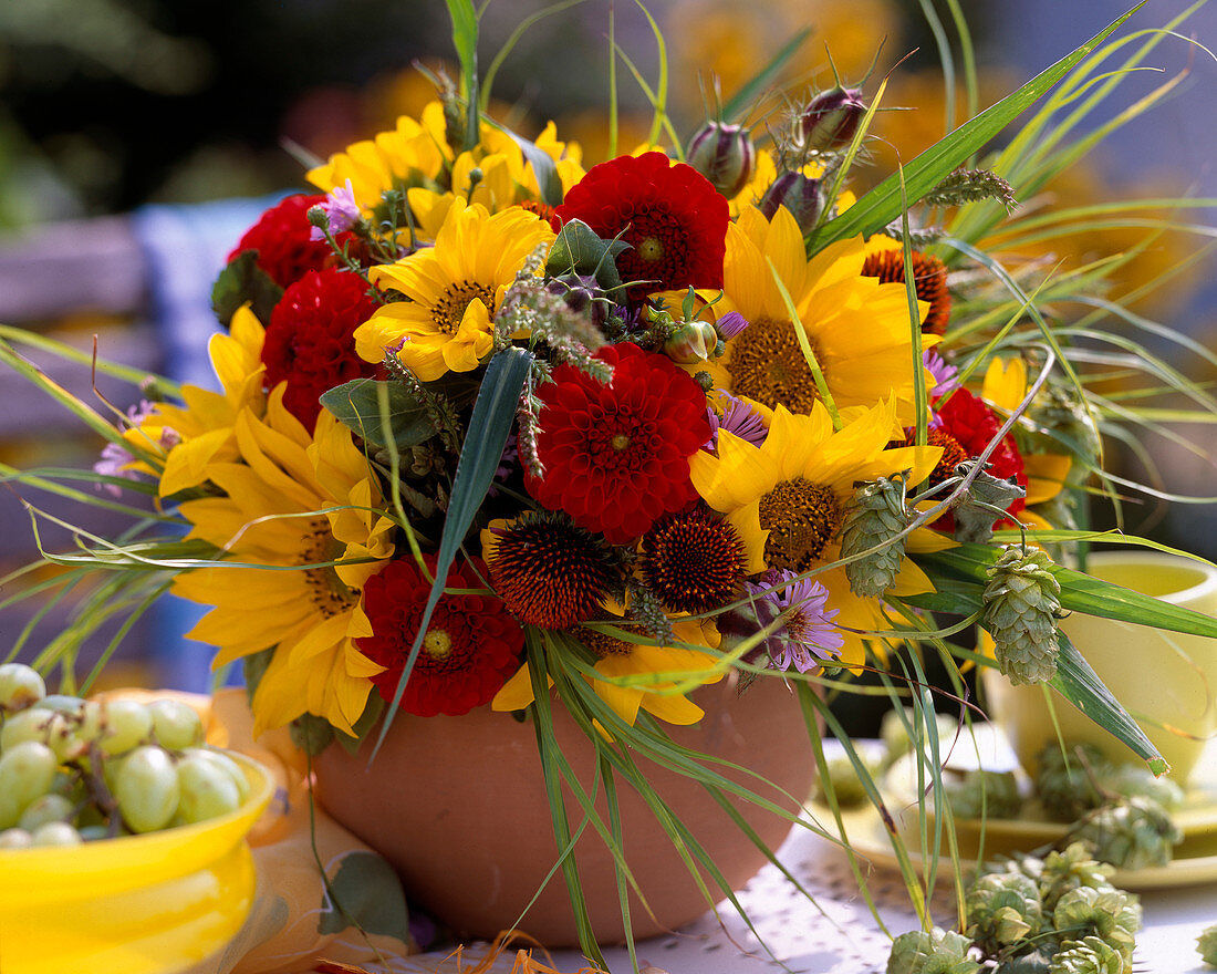 Helianthus / Sonnenblume, Dahlia, Astern