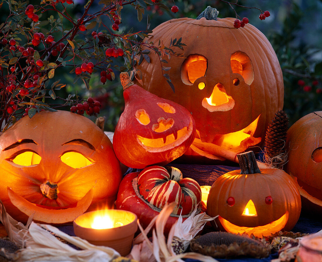 Halloween, hollowed out squashes