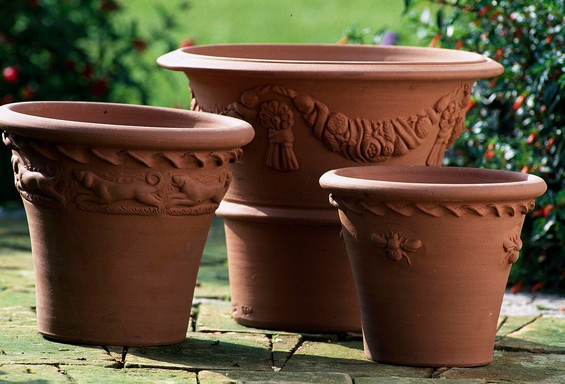 English hardy clay pots