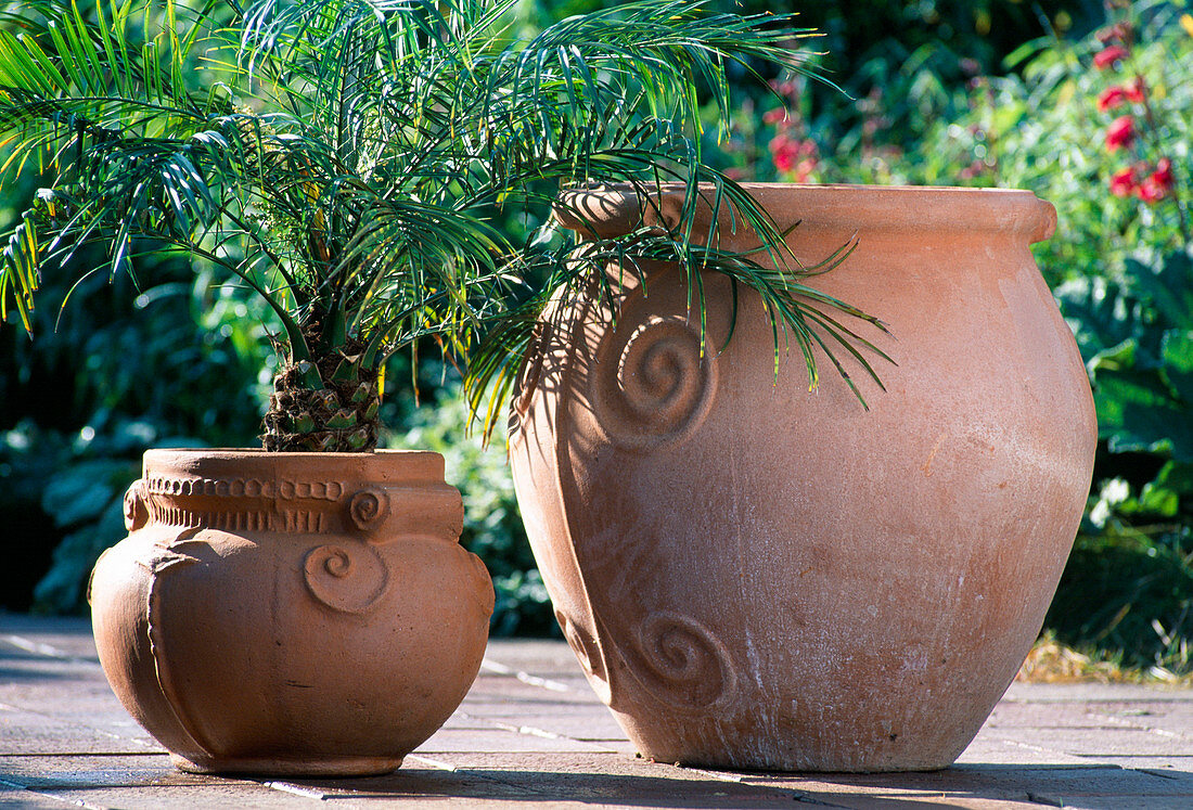 Greek clay pots for pot plants