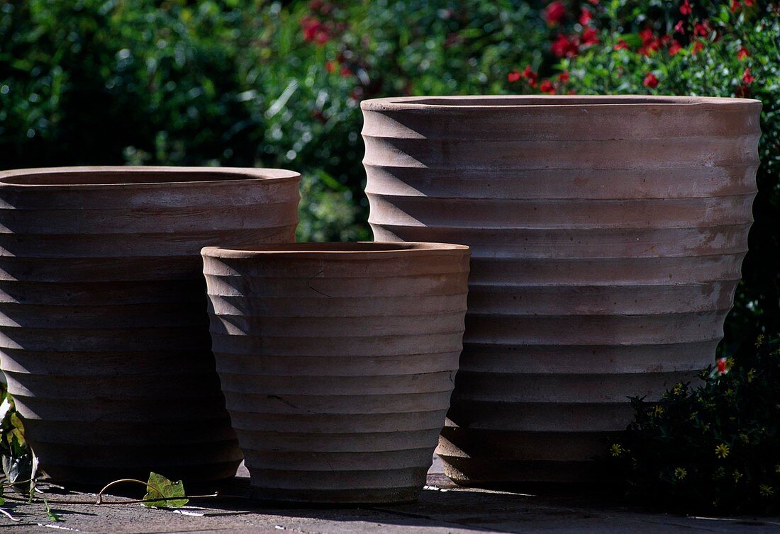 Modern winterised clay pots