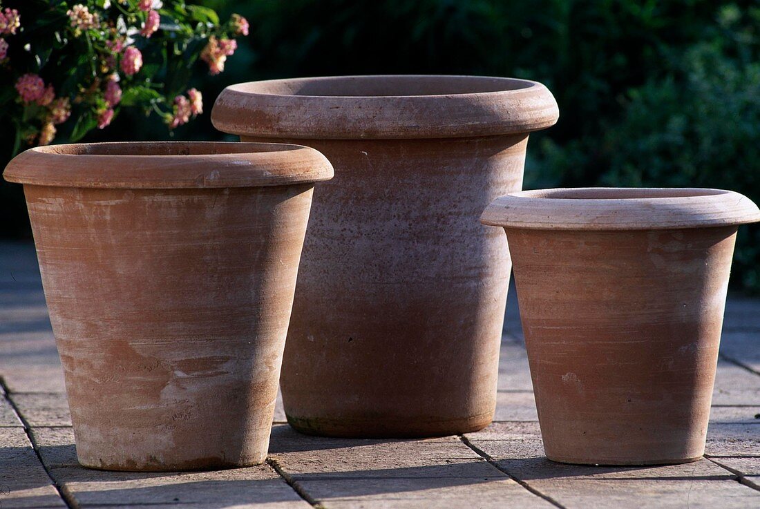 Simple form of hardy clay pots for potted plants