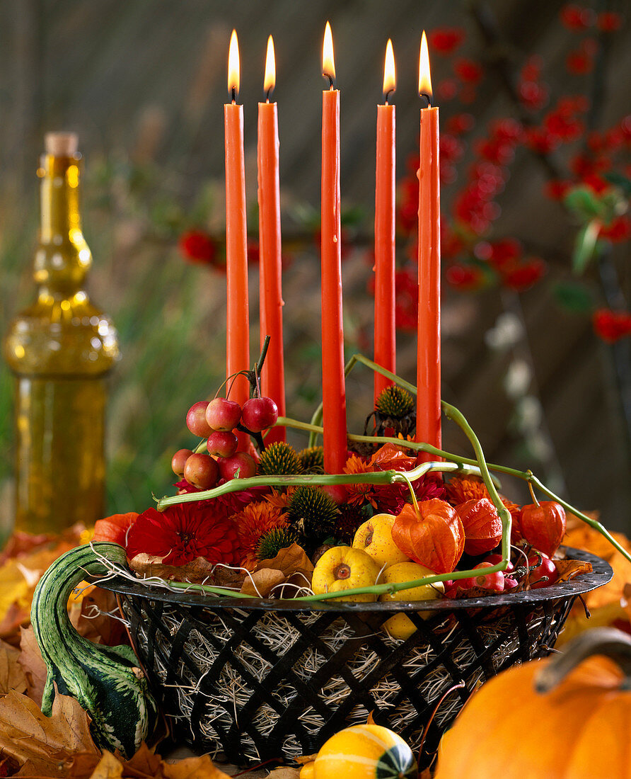 Metal basket with Chaenomeles (ornamental quince), Rudbeckia, Malus, Physalis, Dahlia