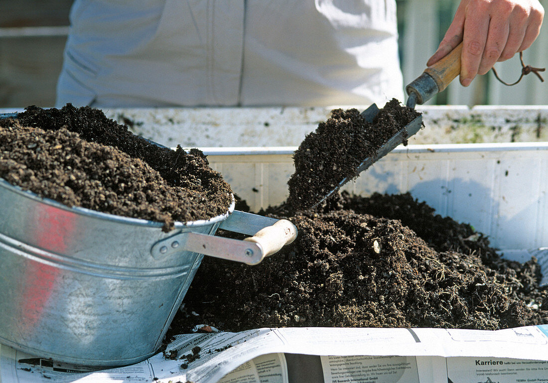 Fill soil into the box