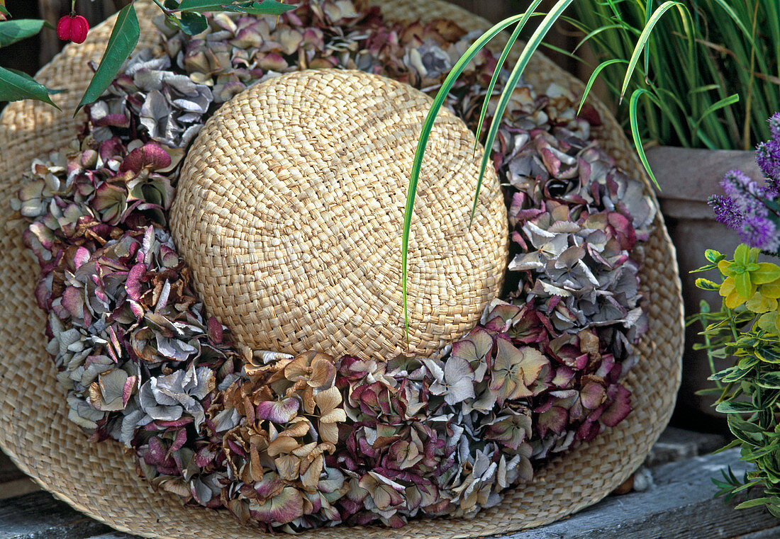 Strohhut mit getrockneten Hortensienblütenkranz