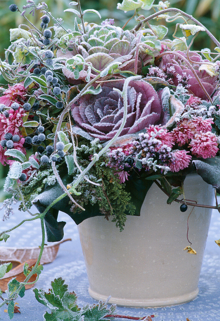 Strauss mit Zierkohl, Ligustrum vulgare, Herbstchrysanthemen