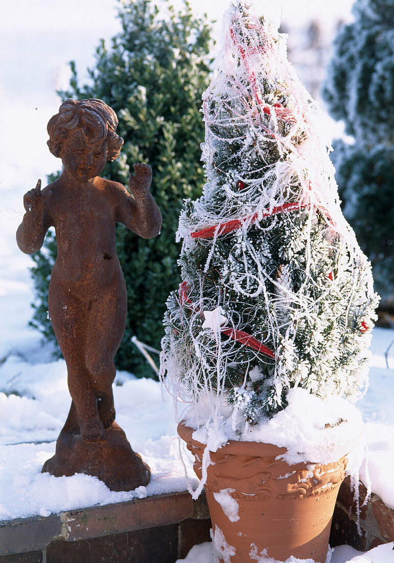 Picea wrapped in red ribbon with hoarfrost and iron