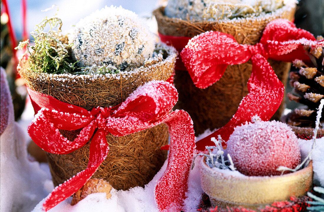 Kokostöpfe mit Kugeln, Äpfel weihnachtlich geschmückt