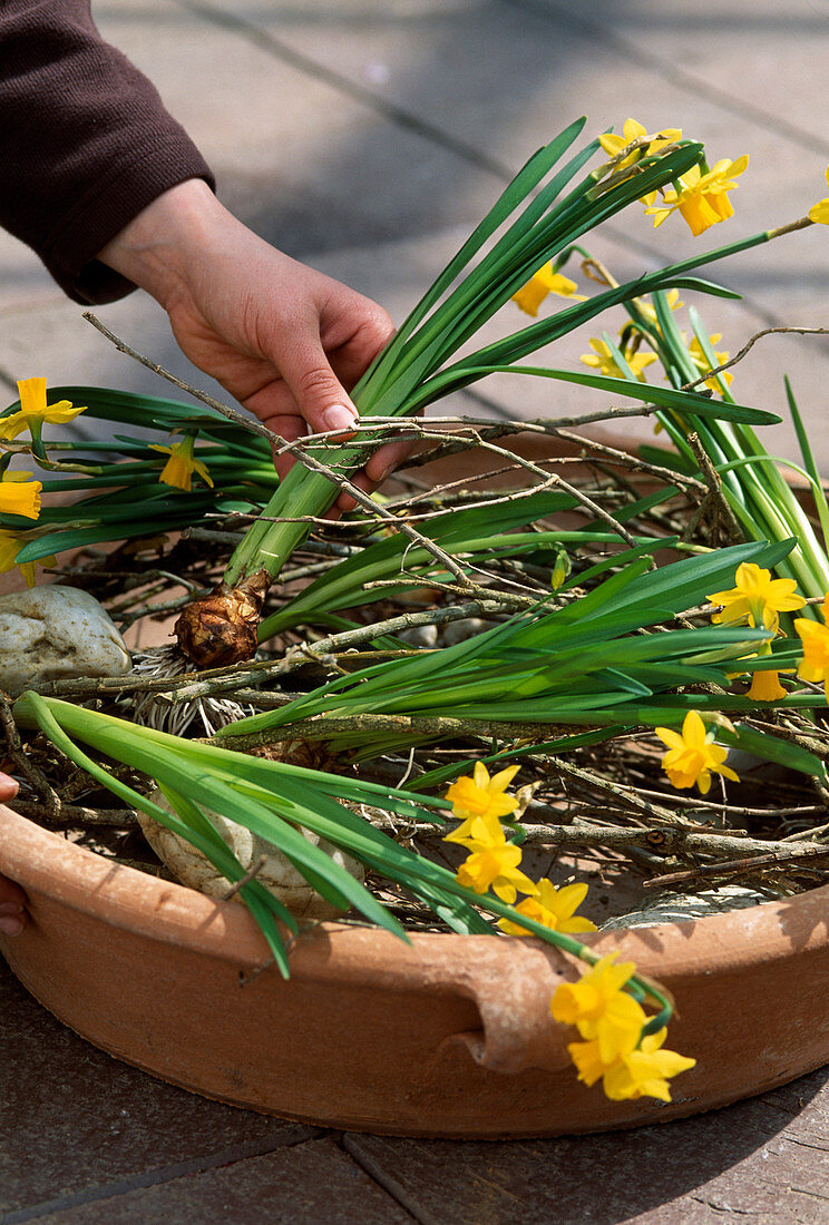 Clay tray with daffodils