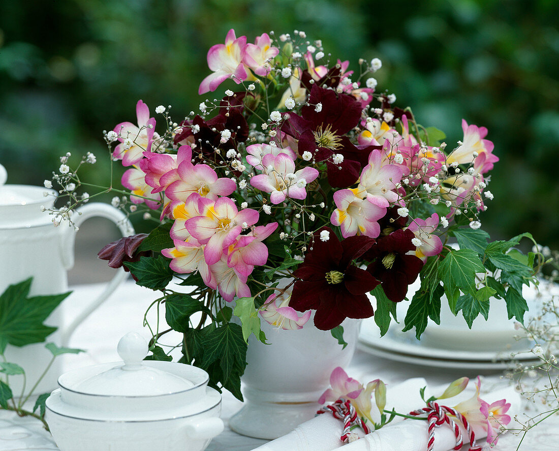 Freesia, Clematis / Waldrebe, Hedera / Efeu, Gypsophila