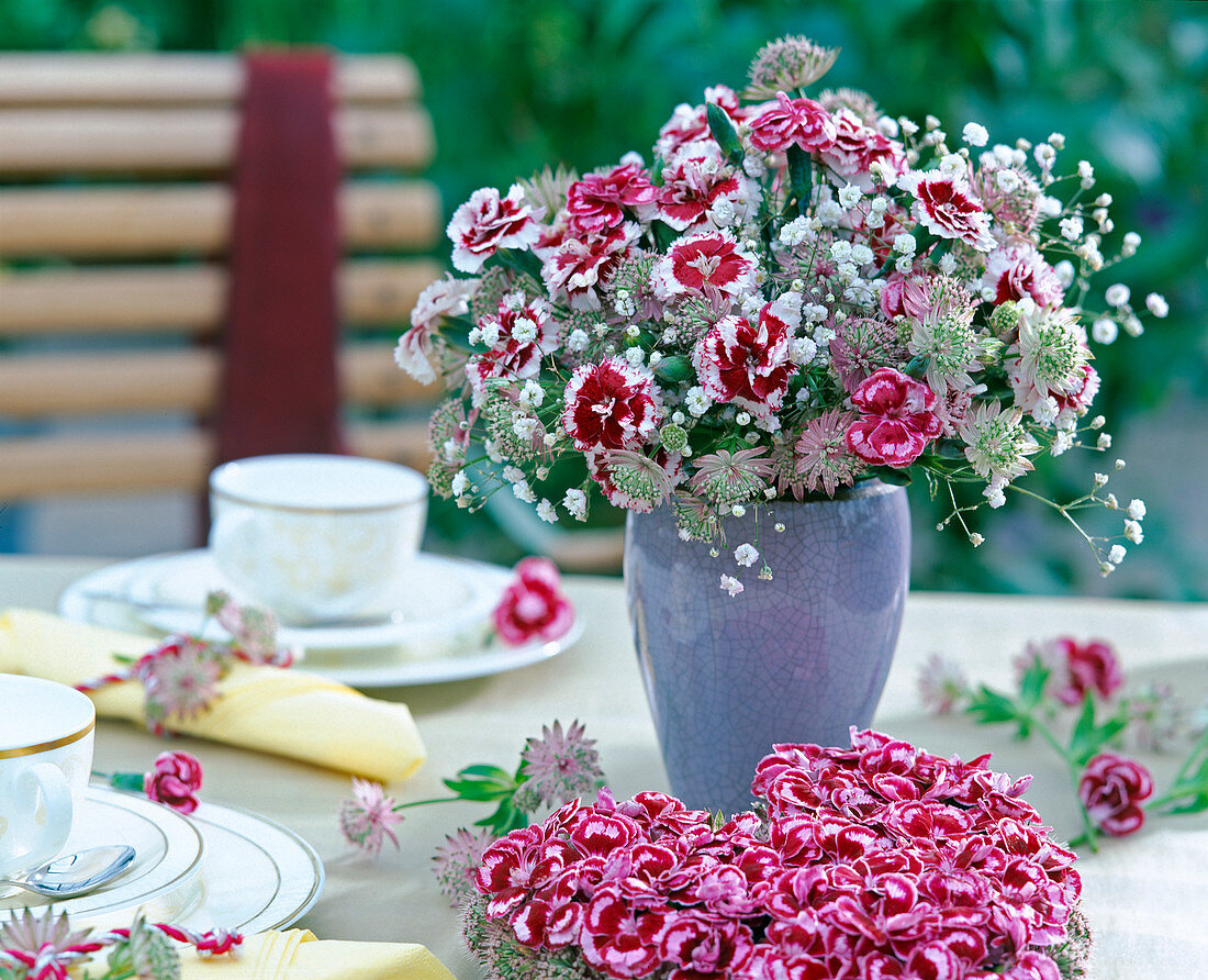 Dianthus (carnation), Astrantia major, Gypsophila (baby's breath)