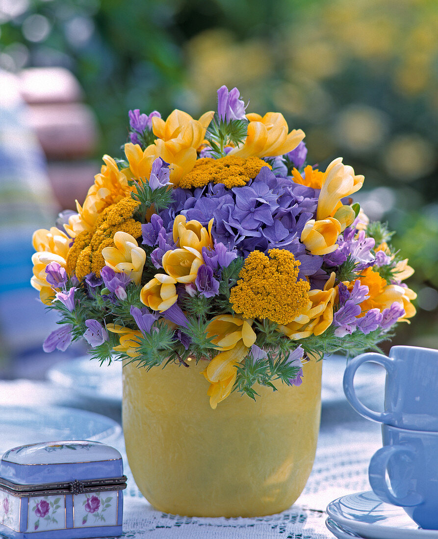 Achillea (Schafgarbe), Freesia, Hydrangea (Hortensie)