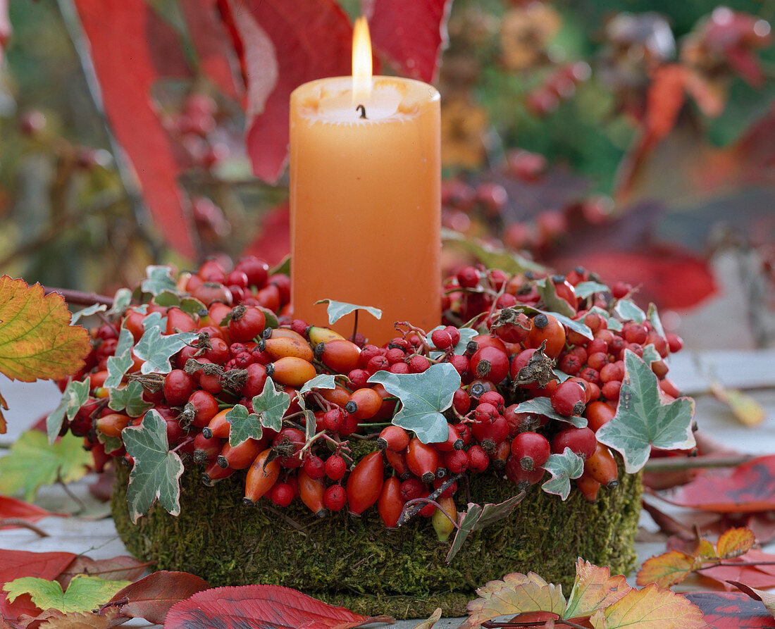 Wreath with candle of Rosa canina (rose hips), Hedera (ivy)