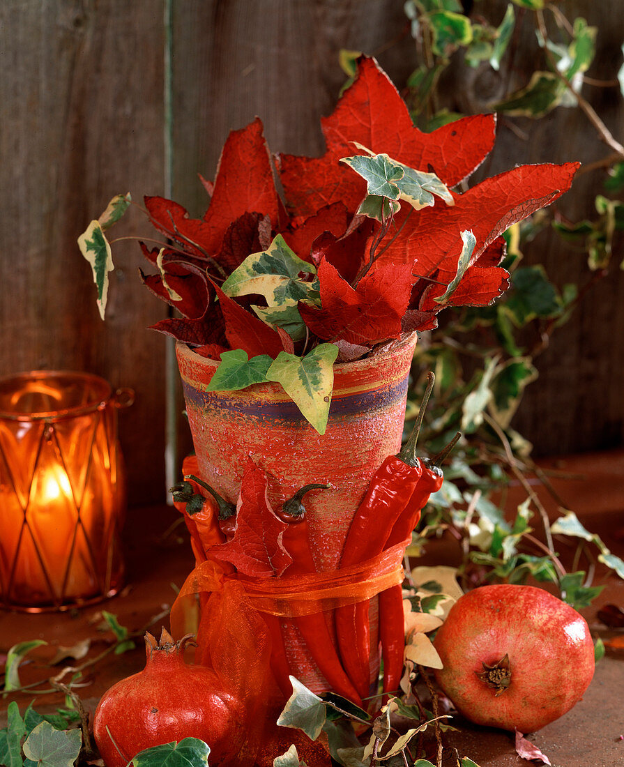 Pot decorated with peperonia Vitis (vine leaves), Hedera (ivy), Punica (pomegranate)