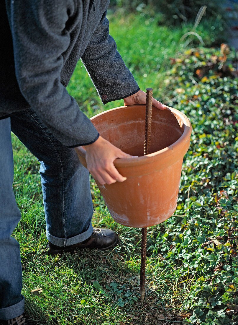 Planting a tower of pots (2/10)