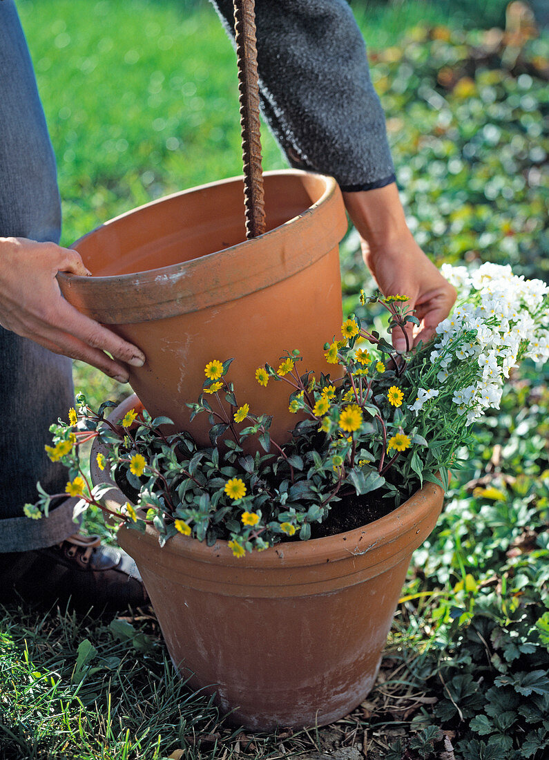 Planting a tower of pots (6/10)