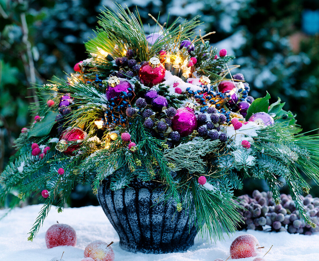 Advent bouquet with snow and fairy lights, Picea (silk pine), Cryptomeria