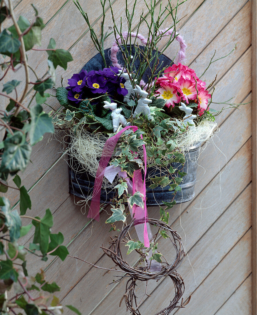 Blechschale als Wandgefäß mit Primula (Kissenprimel)