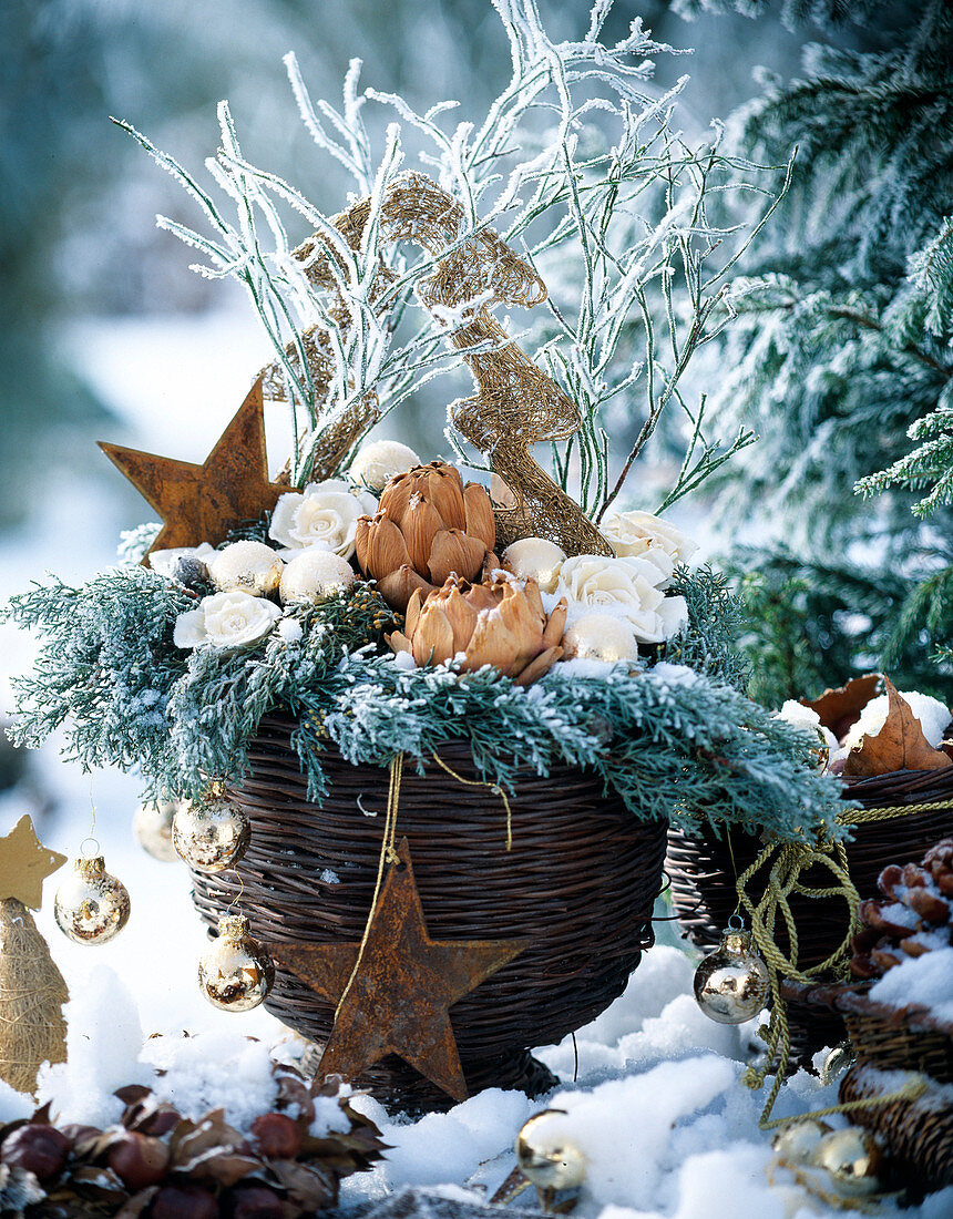 Willow basket with Cupressus (cypress twigs), silk rose, proteas, gold balls