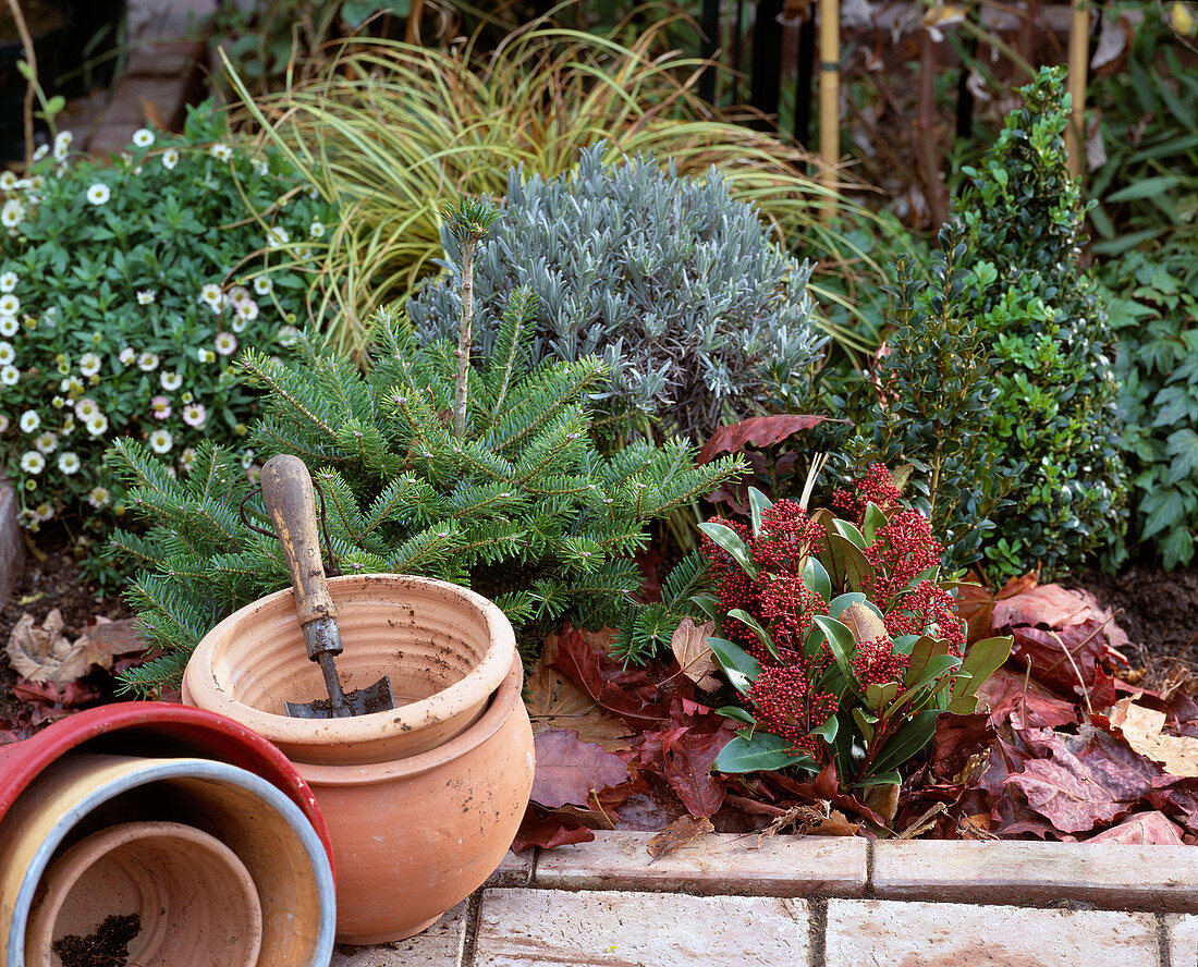 Removing small wood from the pots