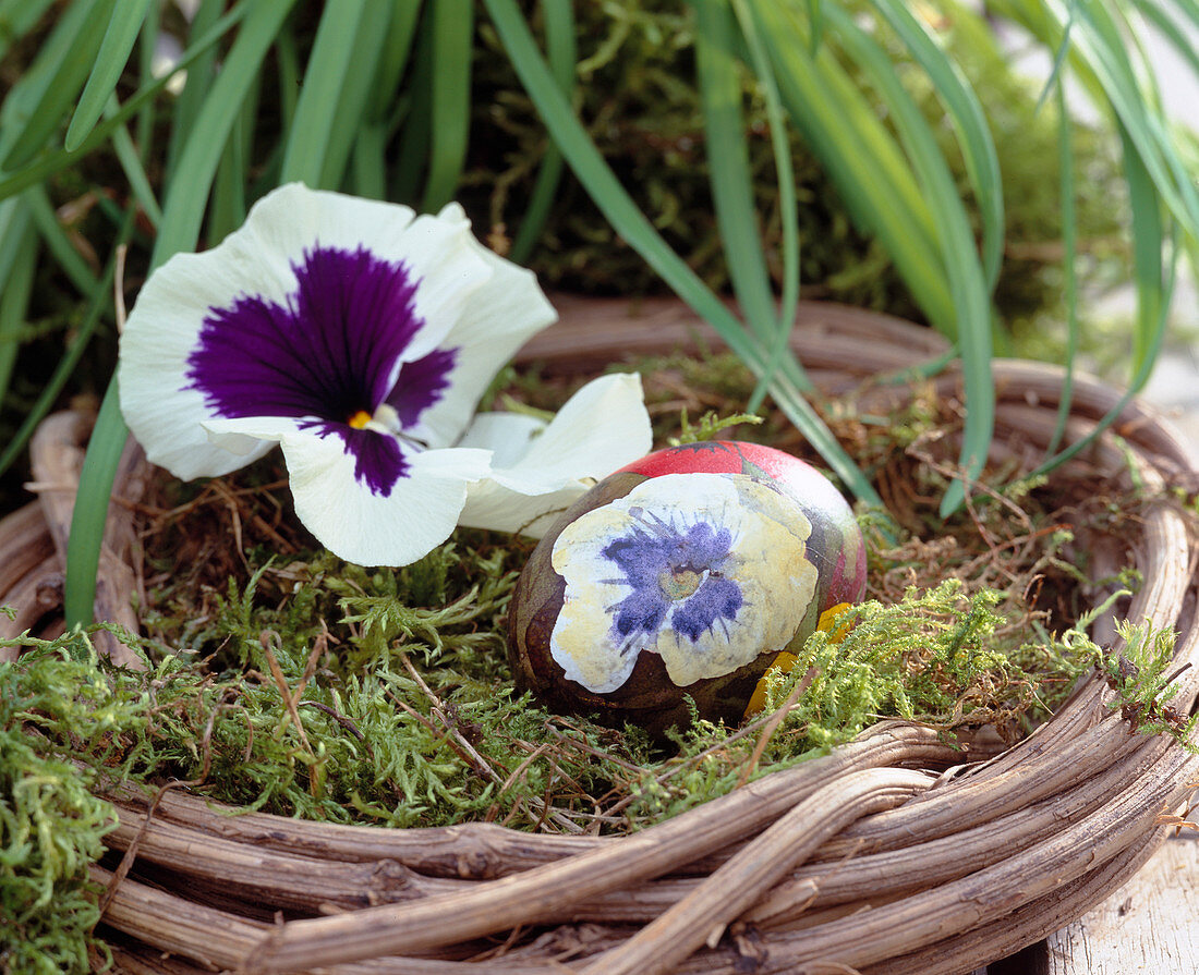 Nest made of hop tendrils with moss and painted egg with pansy motif