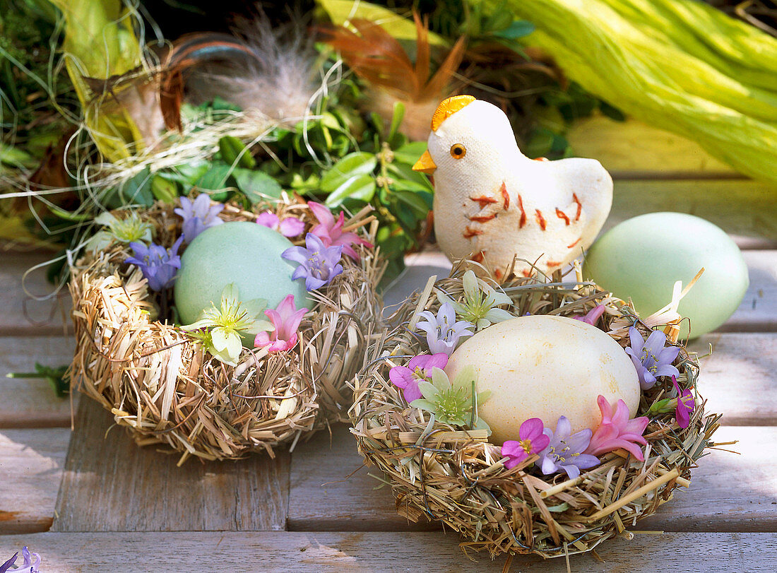 Easter nests made of hay and wire with flowers of Scilla hyacinthoides (bluebell)